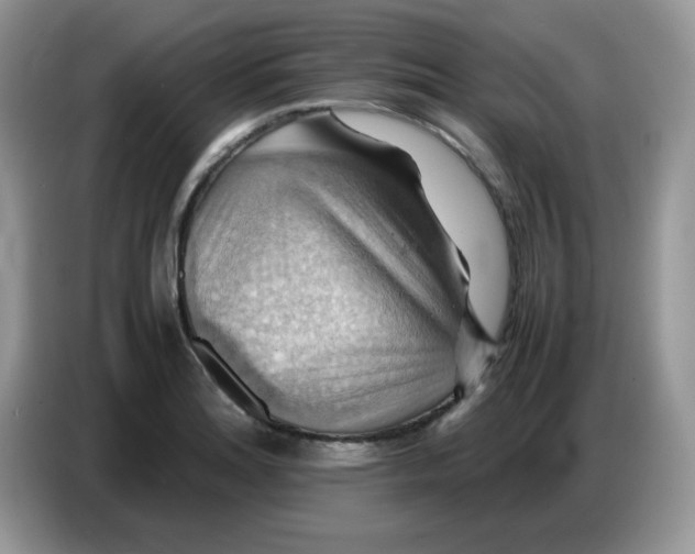 X0000086771180200704271744