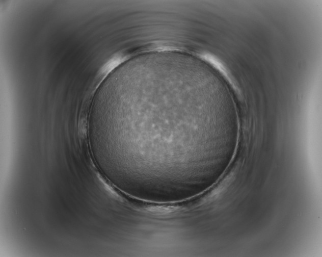 X0000086771185200704271744