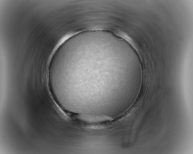X0000086771187200704271744