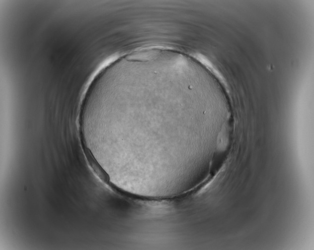 X0000086771189200704271744