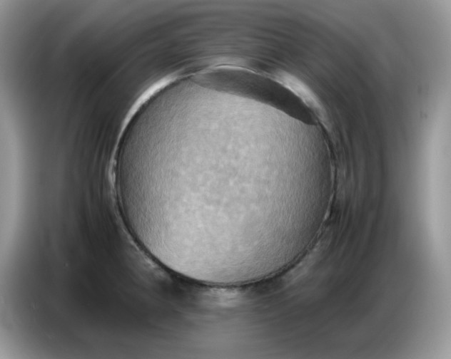 X0000086771190200704271744