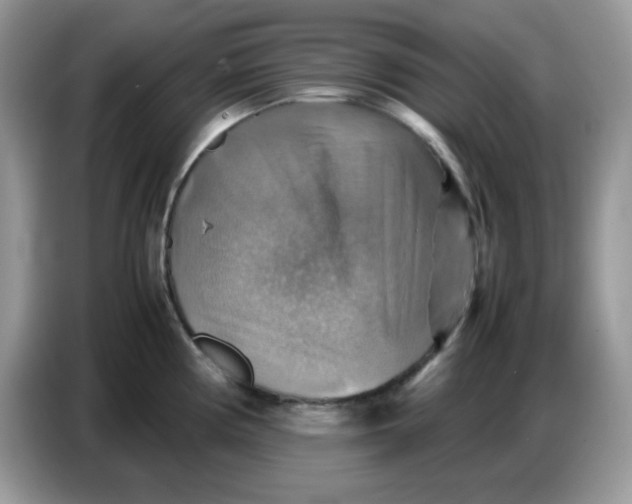 X0000086771194200704271744