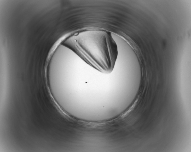 X0000086771196200704271744