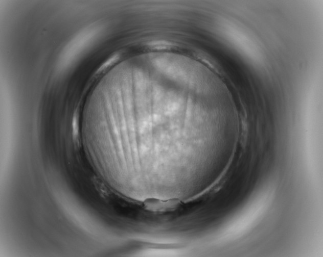 X0000086771198200704271744
