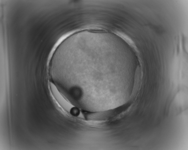 X0000086771200200704271744