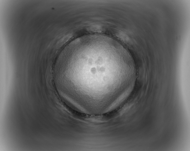 X0000086771201200704271743