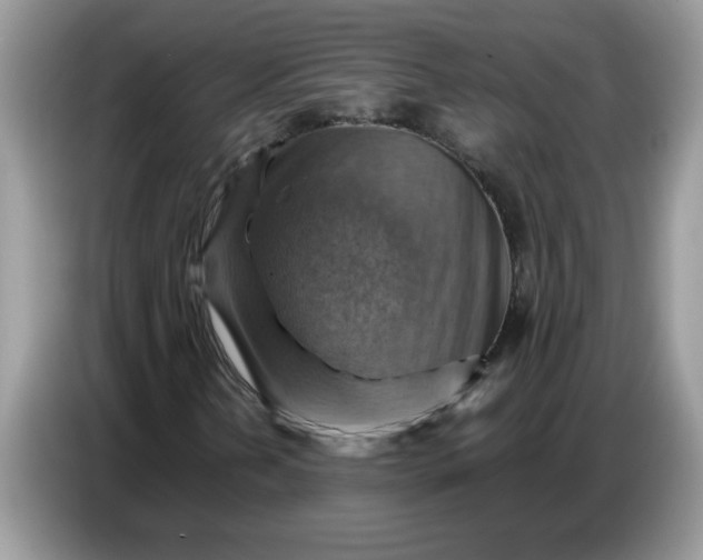 X0000086771202200704271743