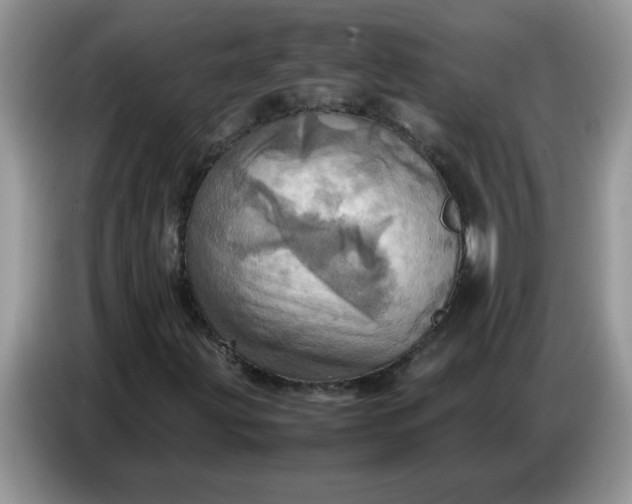X0000086771203200704271743