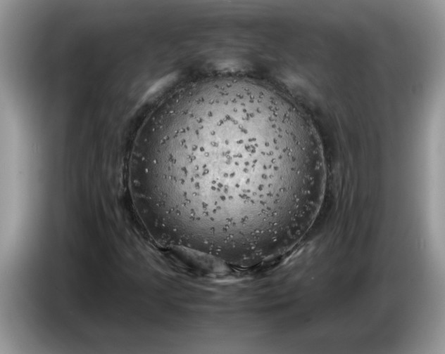 X0000086771205200704271743