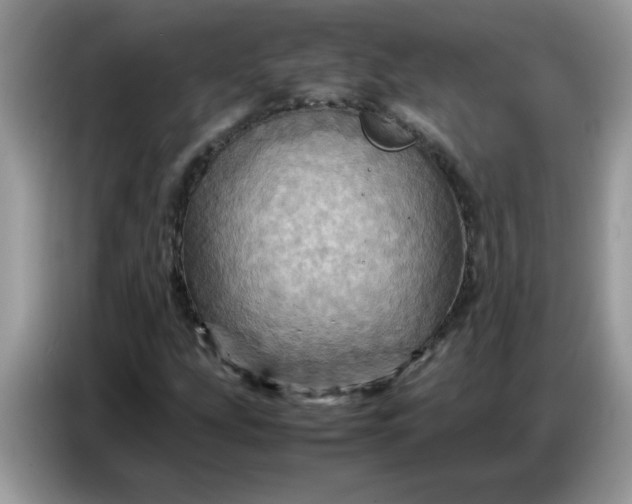 X0000086771207200704271743