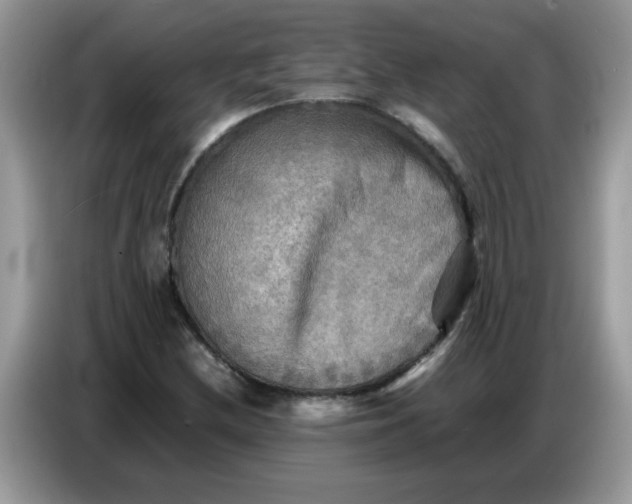 X0000086771212200704271743