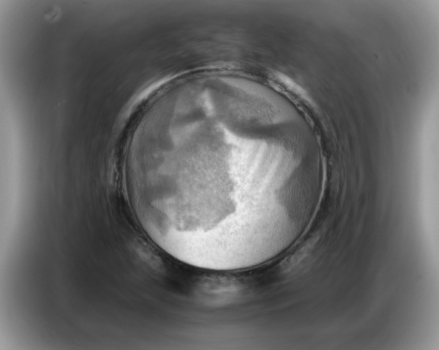 X0000086771215200704271743