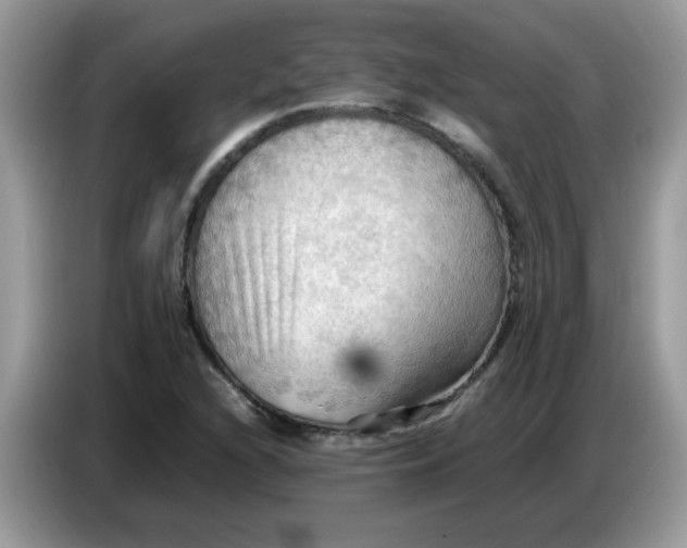 X0000086771216200704271743