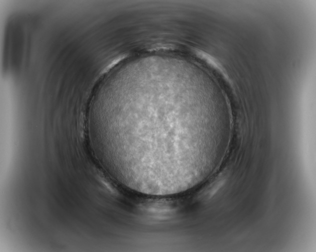 X0000086771217200704271743