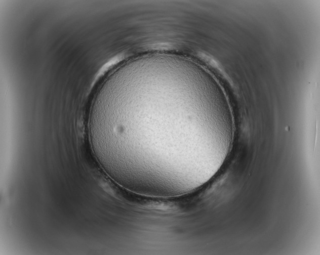 X0000086771218200704271743