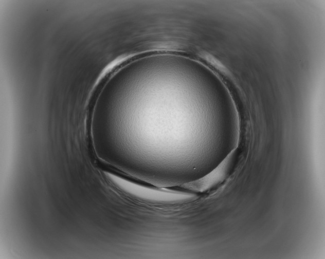 X0000086771222200704271743