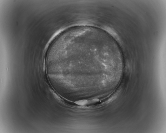 X0000086771224200704271743