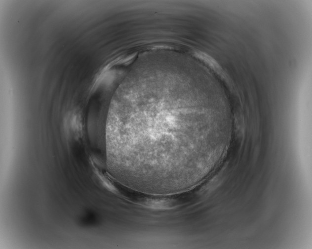 X0000086771225200704271743