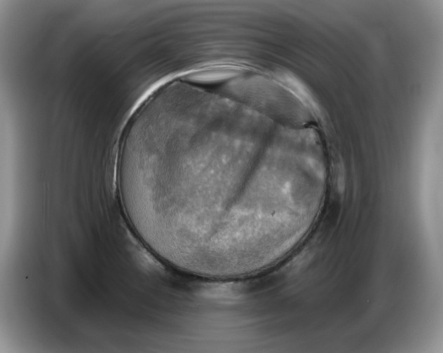 X0000086771228200704271743