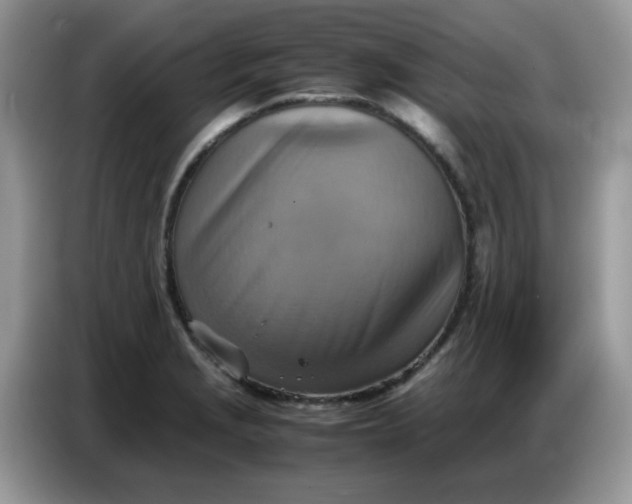 X0000086771229200704271743