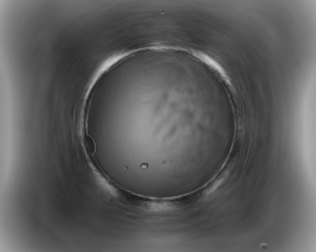 X0000086771231200704271743