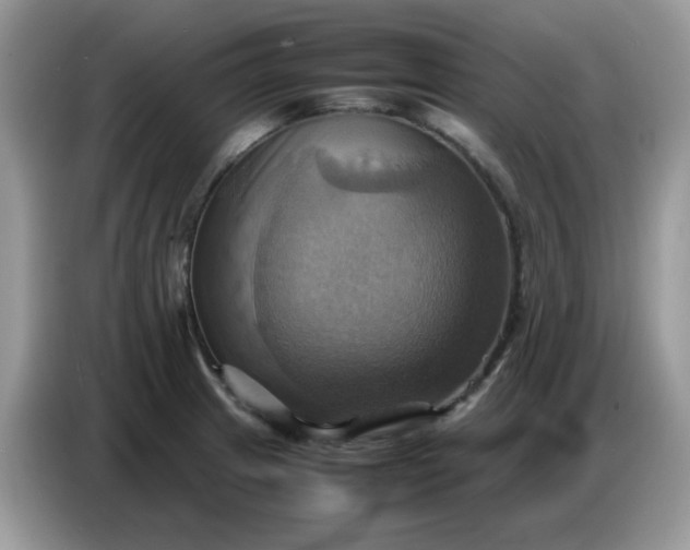 X0000086771233200704271743