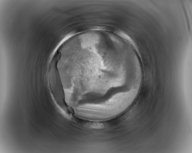 X0000086771235200704271744