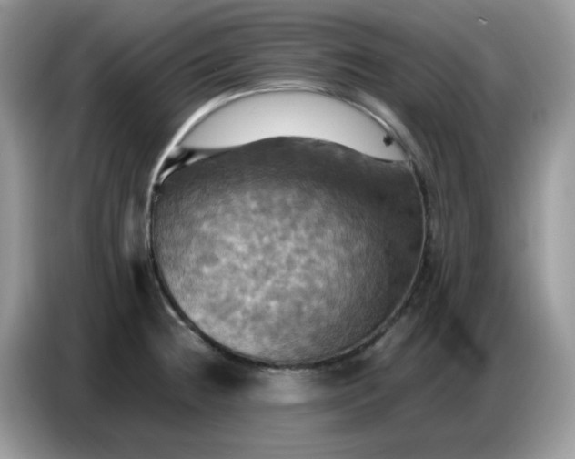 X0000086771236200704271744