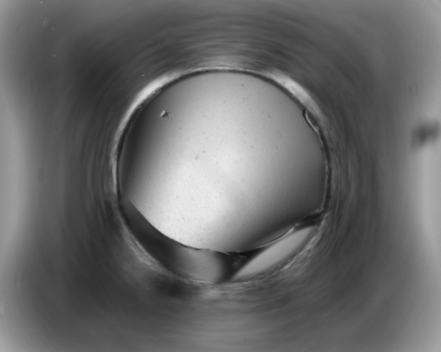 X0000086771238200704271744