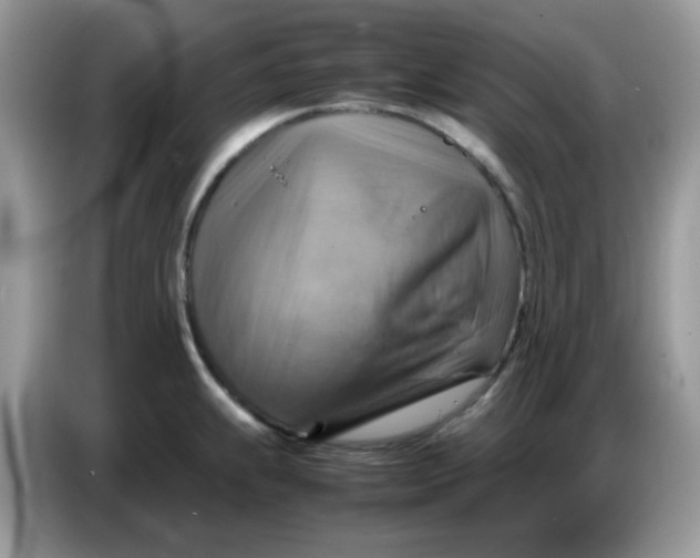 X0000086771239200704271744