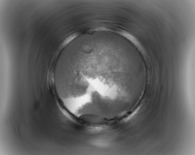 X0000086771241200704271744