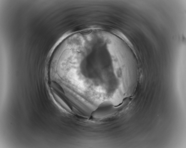 X0000086771243200704271744