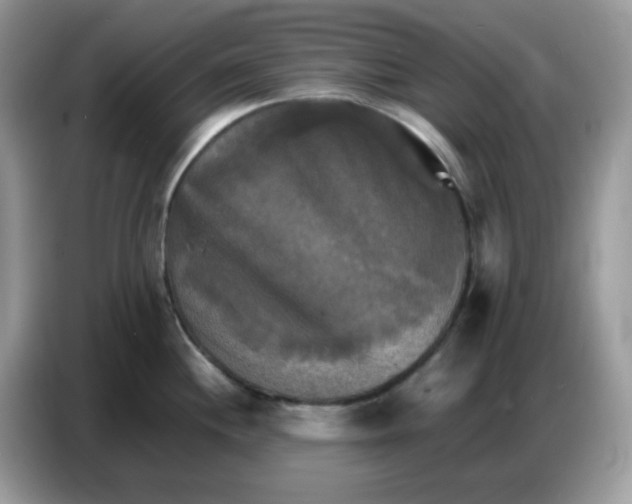 X0000086771244200704271744