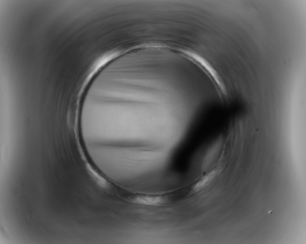 X0000086771245200704271744