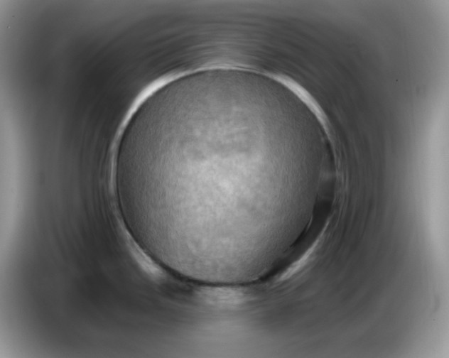 X0000086771246200704271744