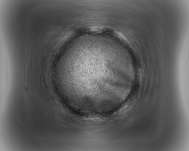 X0000086771249200704271743