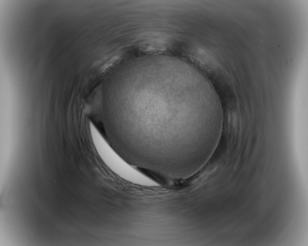 X0000086771250200704271743