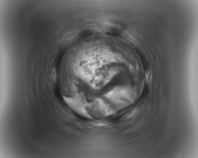 X0000086771251200704271743