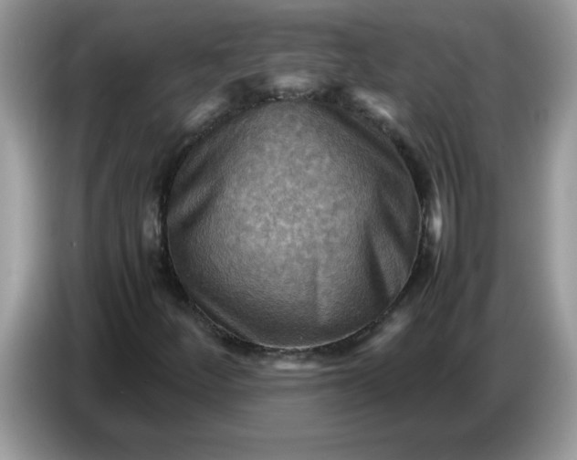 X0000086771252200704271743
