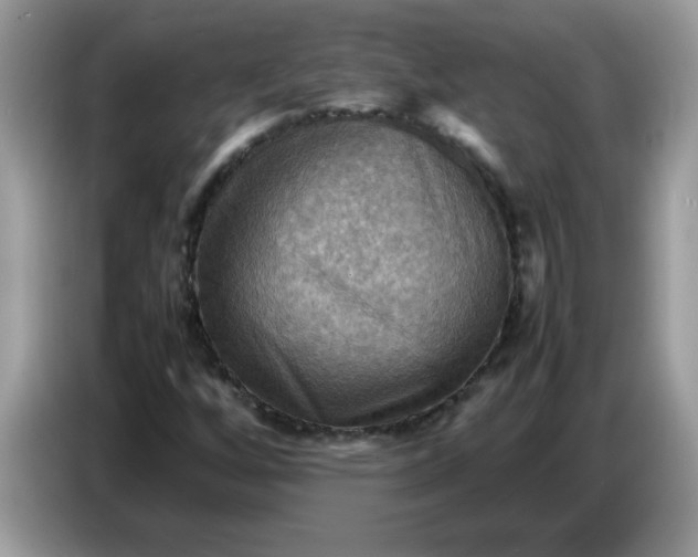 X0000086771256200704271743