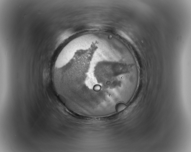 X0000086771259200704271743