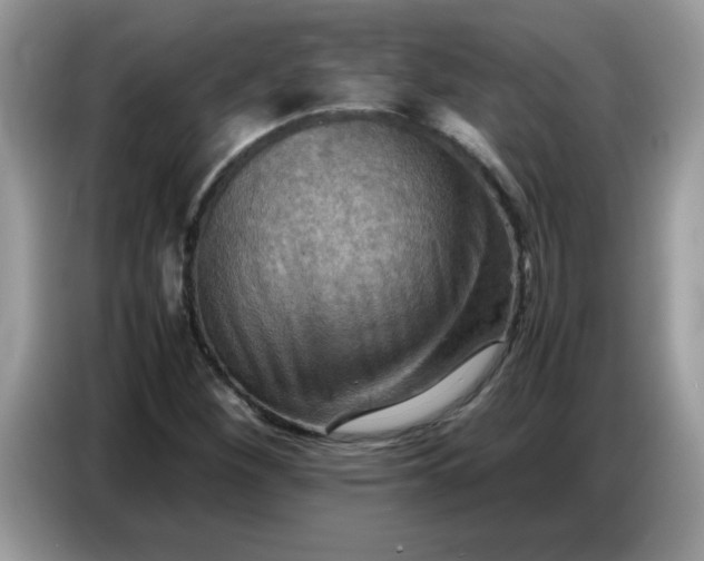 X0000086771260200704271743