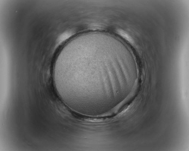X0000086771261200704271743