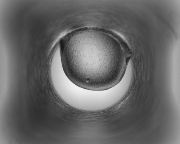 X0000086771263200704271743