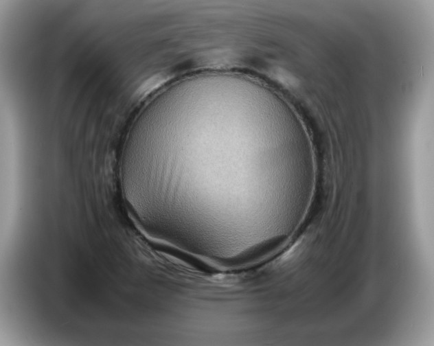 X0000086771265200704271743