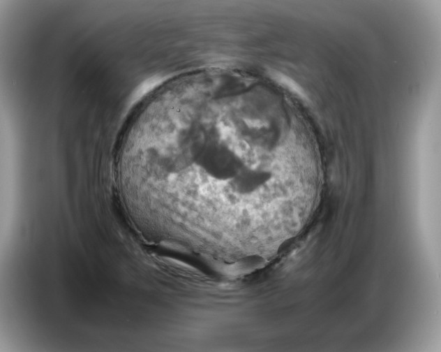 X0000086771267200704271743