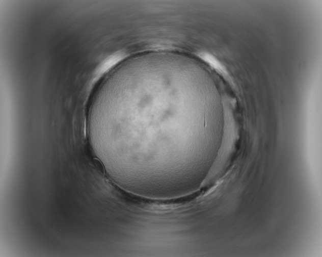 X0000086771269200704271743