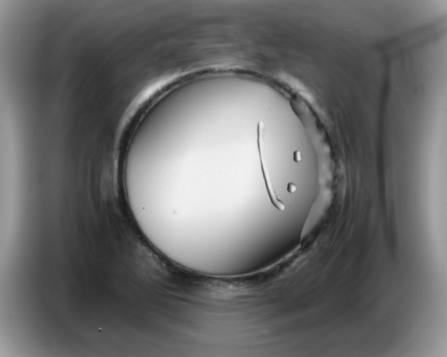 X0000086771270200704271743