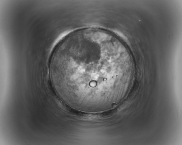 X0000086771271200704271743