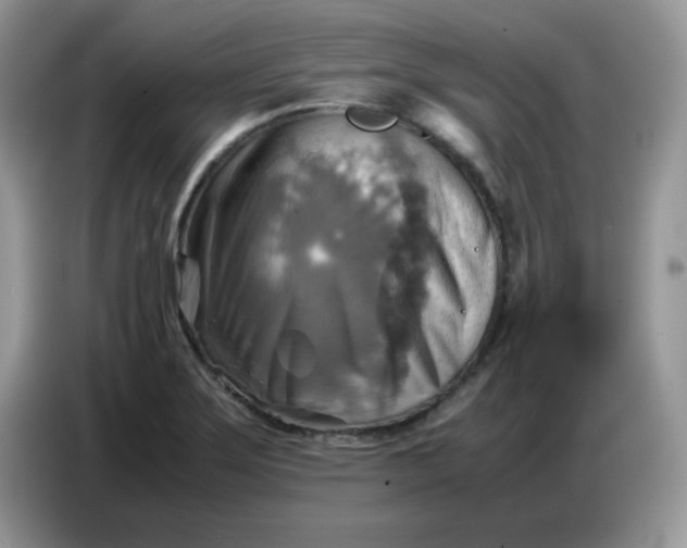 X0000086771275200704271743
